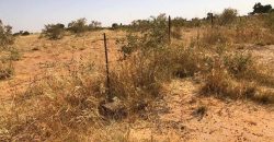 Jardin Productif de 4 Hectares 400 à Goroubi