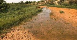 Jardin Productif de 4 Hectares 400 à Goroubi