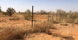 Jardin Productif de 4 Hectares 400 à Goroubi