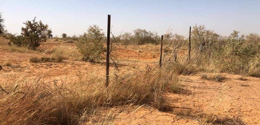 Jardin Productif de 4 Hectares 400 à Goroubi