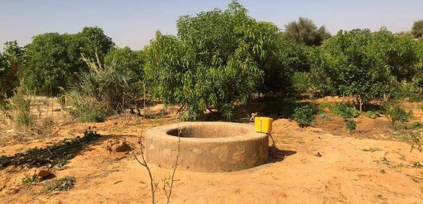 Jardin Productif de 4 Hectares 400 à Goroubi