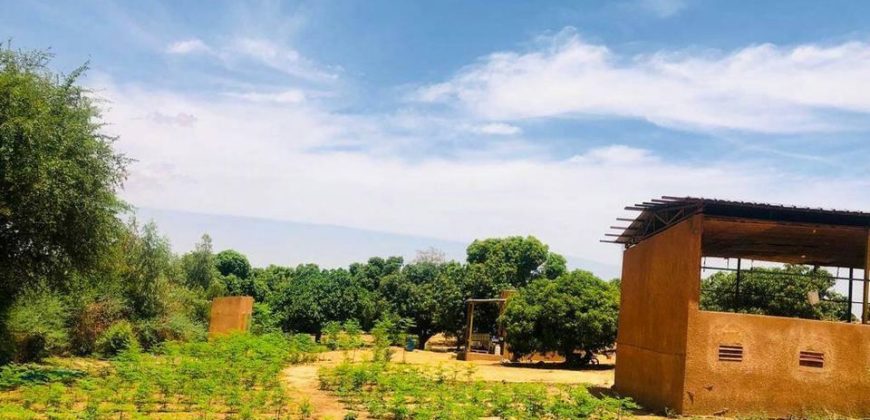 Jardin 1.5 Hectar vers CIMETIÈRE CHRÉTIENNE