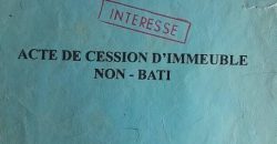 Parcelle 600 m², îlot 8239, derrière Centre Aéré – BCEAO