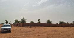 Terrain Urbain 800 m², Lotiss. Kalley Plateau (Saley Seydou A)