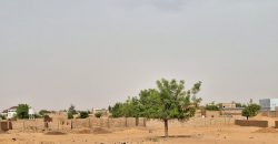 Terrain Urbain 800 m², Lotiss. Kalley Plateau (Saley Seydou A)