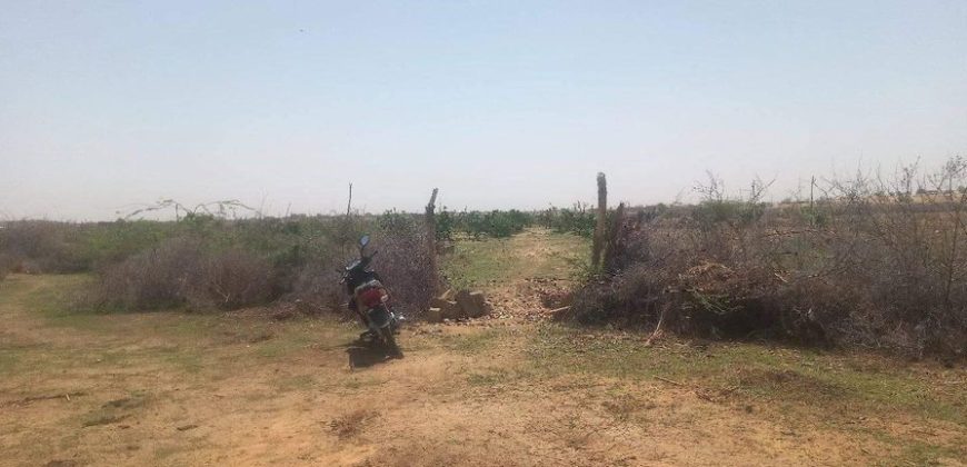 Jardin 2 Hectares, à 700 m au Sud de l’ Aéroport de Zinder