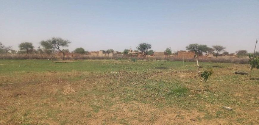 Jardin 2 Hectares, à 700 m au Sud de l’ Aéroport de Zinder