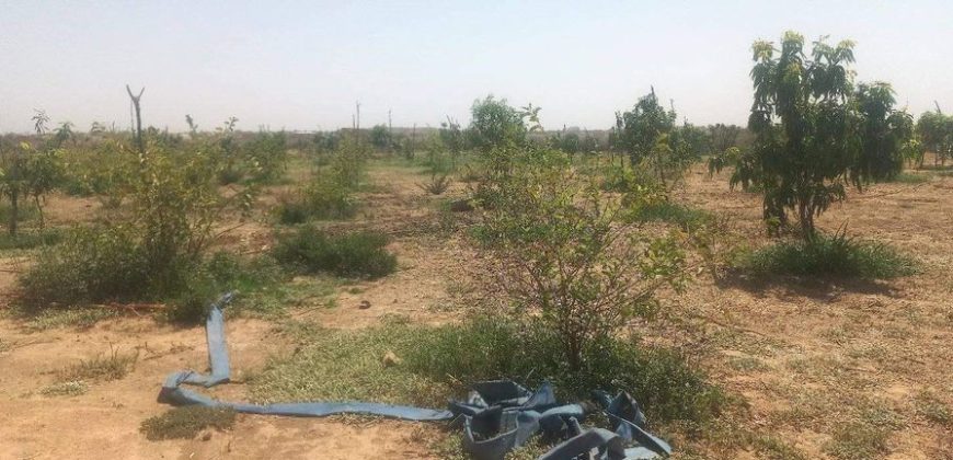 Jardin 2 Hectares, à 700 m au Sud de l’ Aéroport de Zinder