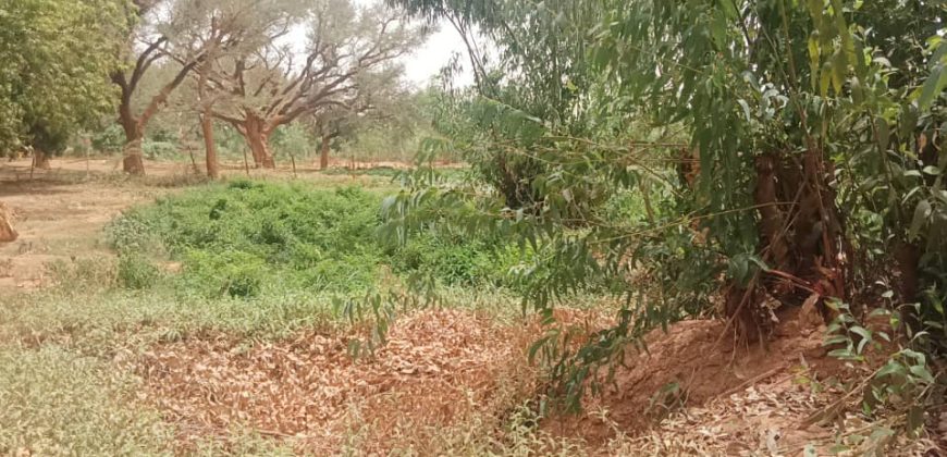 Grand Jardin + 1.5 Hectares, vers le Château d’eau