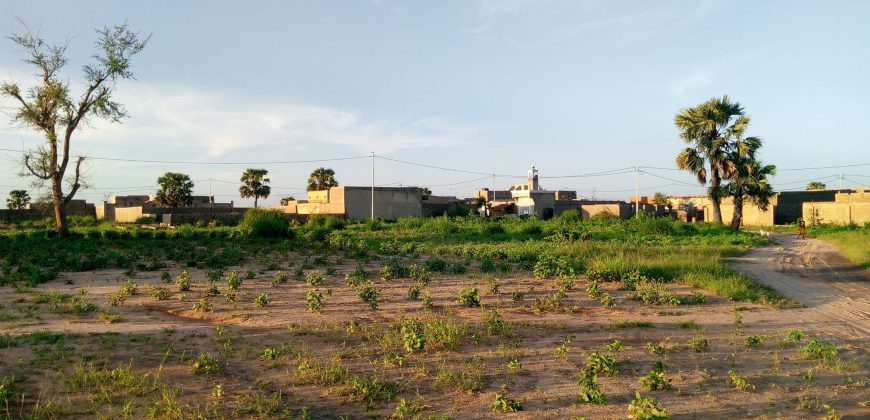 Parcelle 300 m² entre l’Université et mur de l’Aéroport