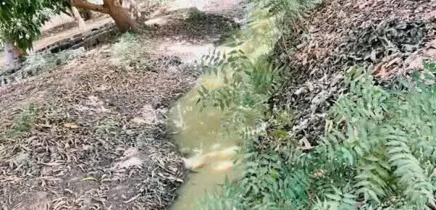 Jardin de 7000 m², au bord du Goudron Gamkalé