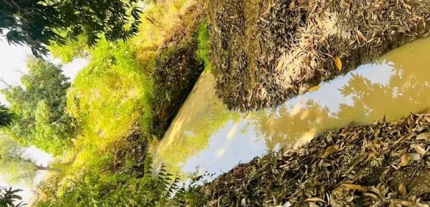 Jardin de 7000 m², au bord du Goudron Gamkalé