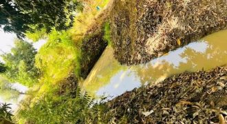 Jardin de 7000 m², au bord du Goudron Gamkalé