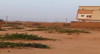 Parcelle de 200 m² sur 2 Voies, Électricité Disponible