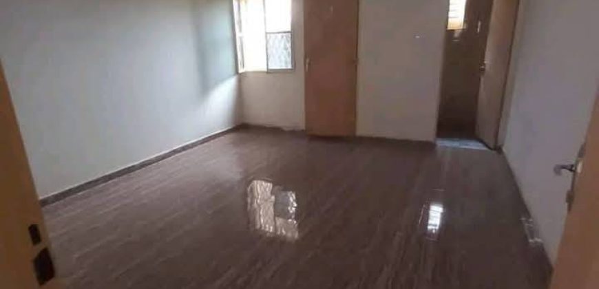Maison 1 Chambre, Salon, Magasin et Hangar