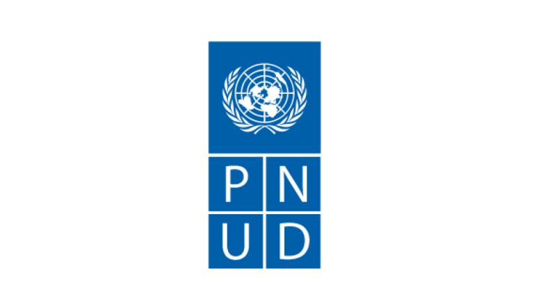 CONSULTANT – PLAN DE PARTICIPATION DES PARTIES PRENANTES (P3P)