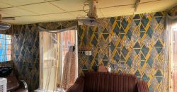 Boutique en Location avec ou sans les Articles