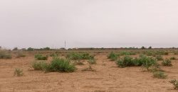 Parcelle de 237 m², Emplacement Bien Plat