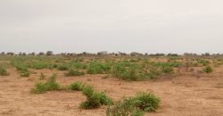 Parcelle de 300 m² sur une Voie de 15 m