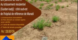 Parcelle de 300 m² sur une Voie de 15 m