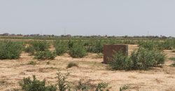 Parcelle de 400m² sur une Voie de 20 m