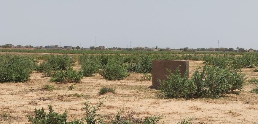 Parcelle de 400m² sur une Voie de 20 m