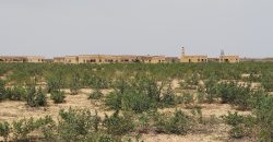 Parcelle de 400m² sur une Voie de 20 m