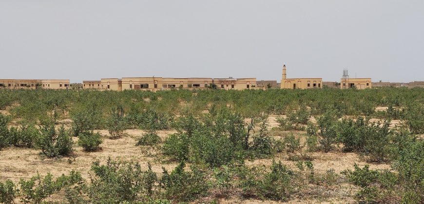 Parcelle de 400m² sur une Voie de 20 m