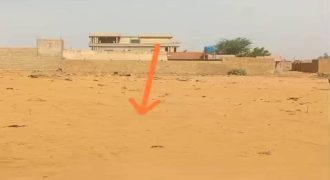 Parcelle de 600 m² avec Eaux et Électricité