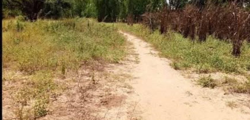 Terrain de 400 m², près des Jardins