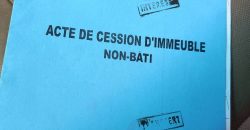 Parcelle 200 m², Nord-Est du mur de l’Aéroport de Maradi