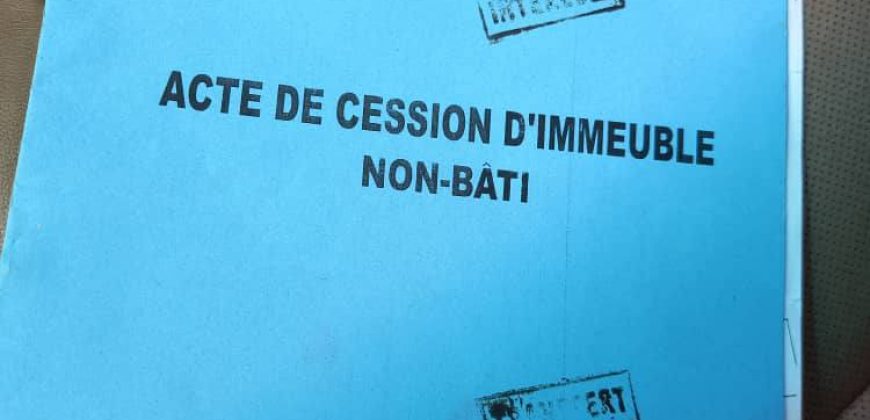 Parcelle 200 m², Nord-Est du mur de l’Aéroport de Maradi