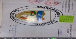 Parcelle 700 m², Eau et Electricité disponibles