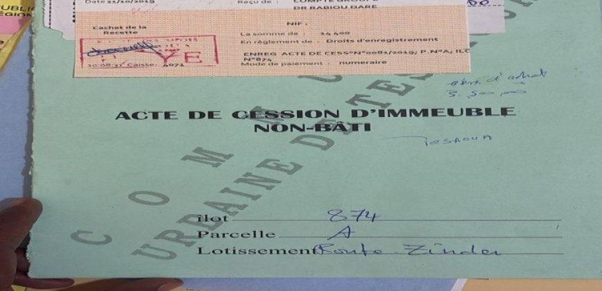 Parcelles Lotissement Route Zinder, Autres Lotissements