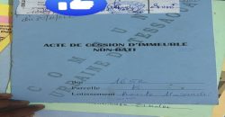 Parcelles Lotissement Route Zinder, Autres Lotissements
