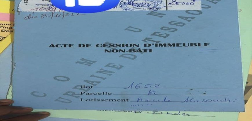 Parcelles Lotissement Route Zinder, Autres Lotissements