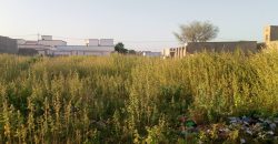 2 Parcelles de 450 m² Chacune, sur 2 Voies (10 et 15m)