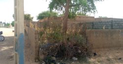 Parcelle de 250 m² vers École Wangari
