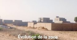 Deux Parcelles (2×300 m²) Collées, Est du quartier Zarya