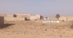 Deux Parcelles (2×300 m²) Collées, Est du quartier Zarya