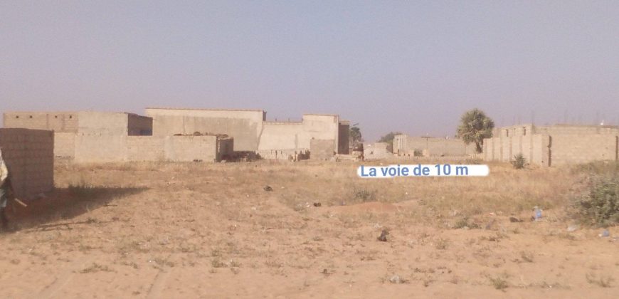 Deux Parcelles (2×300 m²) Collées, Est du quartier Zarya