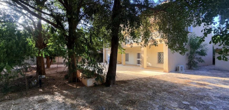 Grande Maison Duplex 5 Chambres, 2 Salons, Piscine