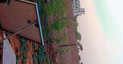 Jardin Clôturé de 750 m², 1 Chambre, Piscine de Poisson