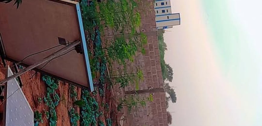 Jardin Clôturé de 750 m², 1 Chambre, Piscine de Poisson