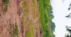 Jardin Clôturé de 750 m², 1 Chambre, Piscine de Poisson