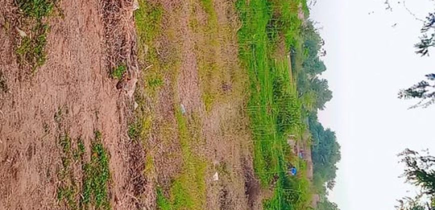 Jardin Clôturé de 750 m², 1 Chambre, Piscine de Poisson