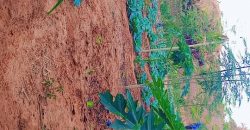 Jardin Clôturé de 750 m², 1 Chambre, Piscine de Poisson