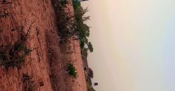 Jardin Clôturé de 750 m², 1 Chambre, Piscine de Poisson