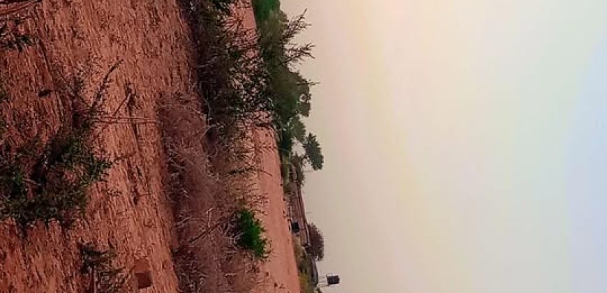 Jardin Clôturé de 750 m², 1 Chambre, Piscine de Poisson