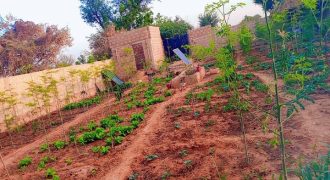 Jardin Clôturé de 750 m², 1 Chambre, Piscine de Poisson